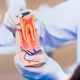 root canal img 3